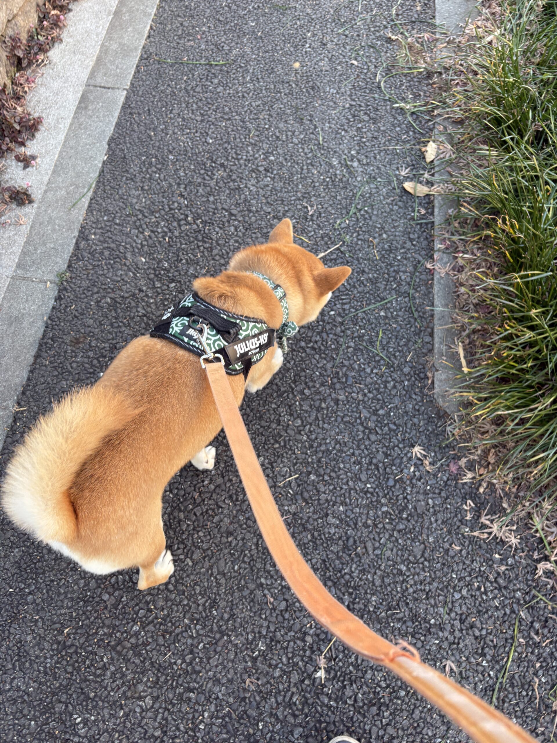 日常生活支援